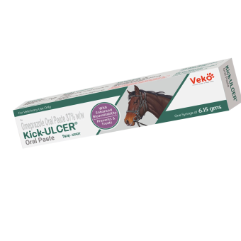 Kick Ulcer