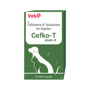 cefko-TProduct