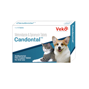Candontal