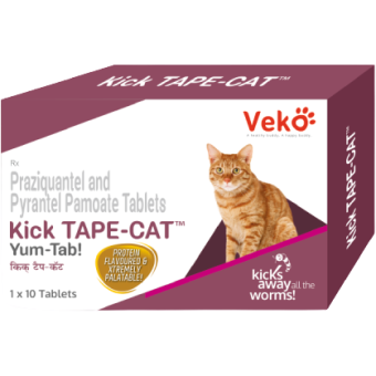 KICK-TAPE CAT