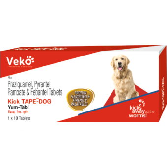 Kick-TAPE DOG