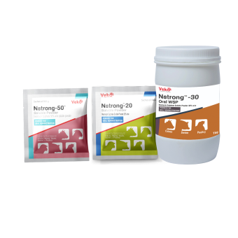 Nstrong Oral  Powder