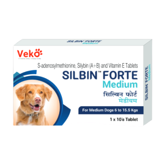 silbindogProducts