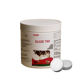 Cloze 750