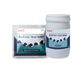 Kotrim Oral Powder