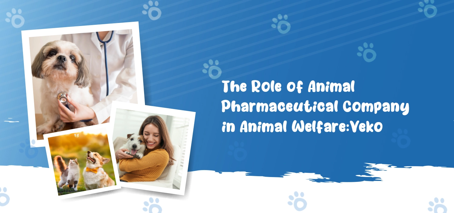 Animal Pharmaceutical Company