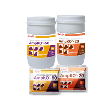 AmpKO Oral Powder