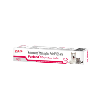 FenLand 10% Oral Paste