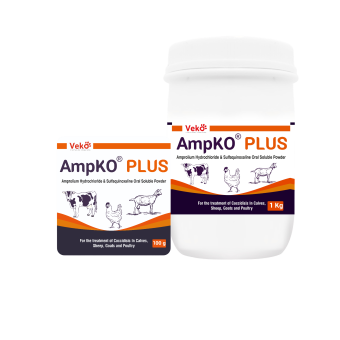 Ampko plus