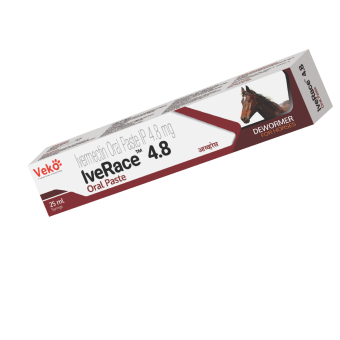 IveRace 4.8